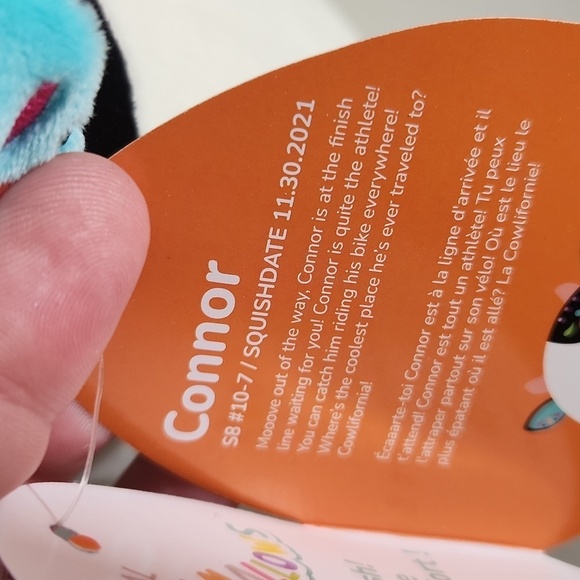 Connor Squishmallows Halloween New Day Of The Dead - Picture 4 of 8